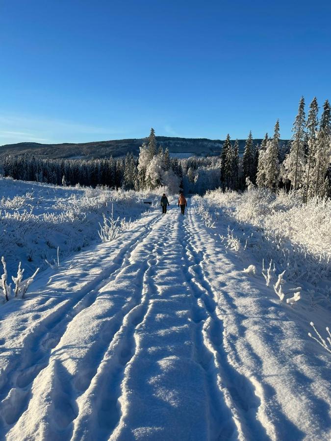 Stuga 5 Varmland Torsby Exteriör bild
