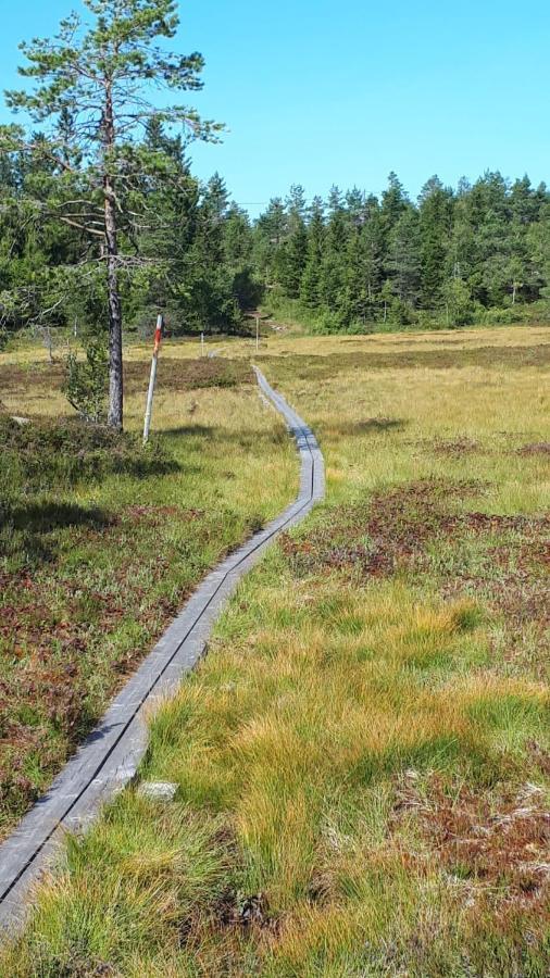Stuga 5 Varmland Torsby Exteriör bild