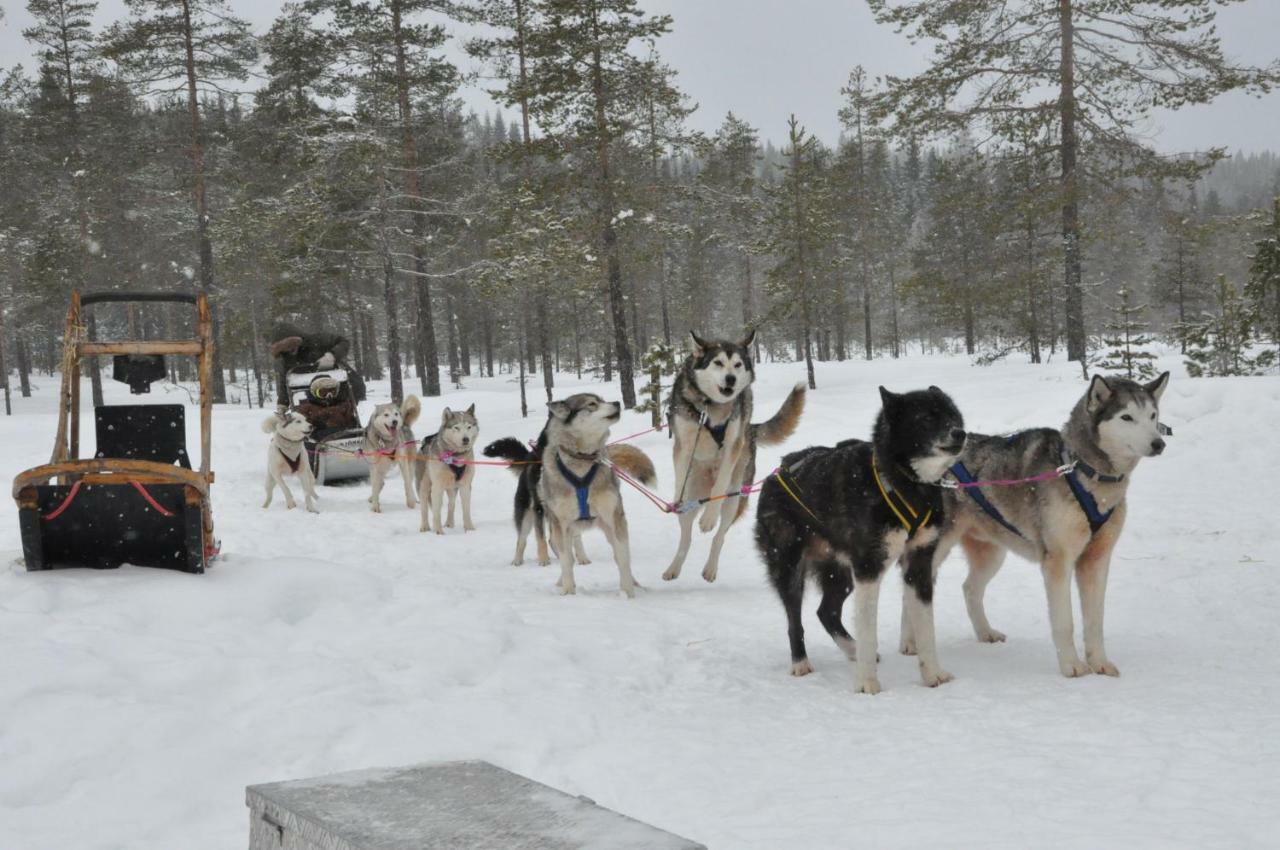Stuga 5 Varmland Torsby Exteriör bild